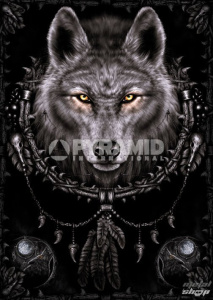 plakát Wolf Dreams - Pyramid Posters