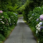 forskoen-din-have-en-liste-over-blomster-du-kan-plante.webp.webp